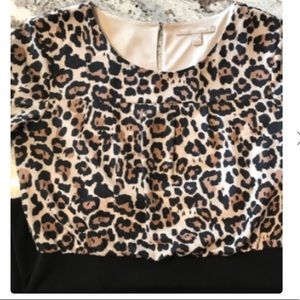 Leopard print professional dress.